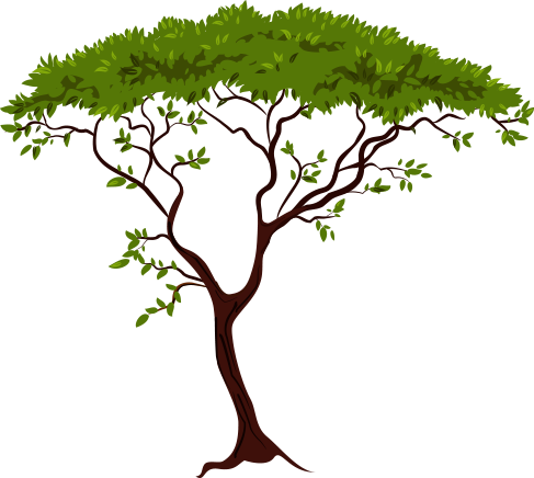 Pin Safari Trees Clip Art - African Tree Silhouette (487x436)