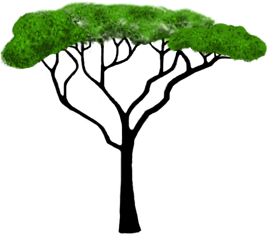 Safari Tree Clipart - Clip Art (1000x1000)