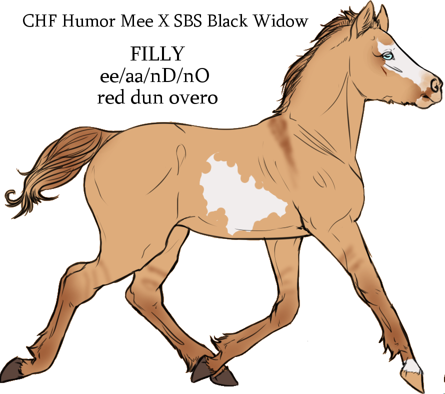 Chf Humor Mee X Sbs Black Widow By Cherryhillfarms - Sorrel (890x788)