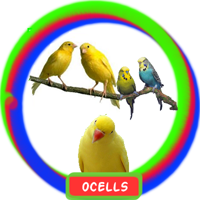 Articles Botiga - - Rsl Concur Breeding Cage White (400x400)