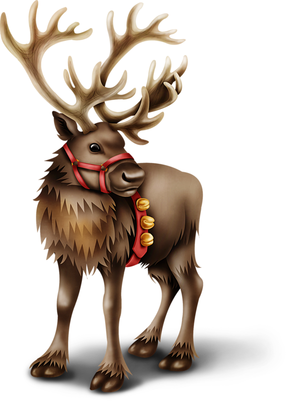 Christmas Riendeer - Новый Год Олень Клипарт (572x800)