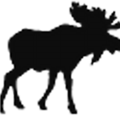 Moose Fm - Moose Fm (400x400)