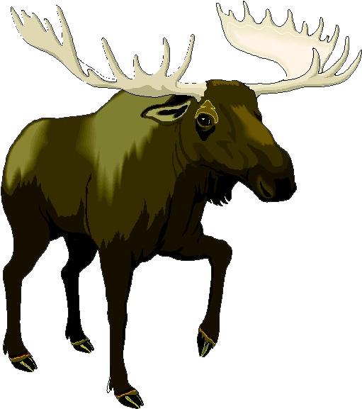 Ncn Golden Moose - Alaska Moose Clip Art (516x584)