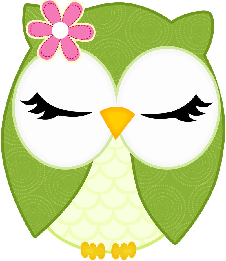 Owls ‿✿⁀°••○ - Owl (900x900)