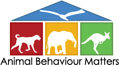 About - Stallion (463x388)