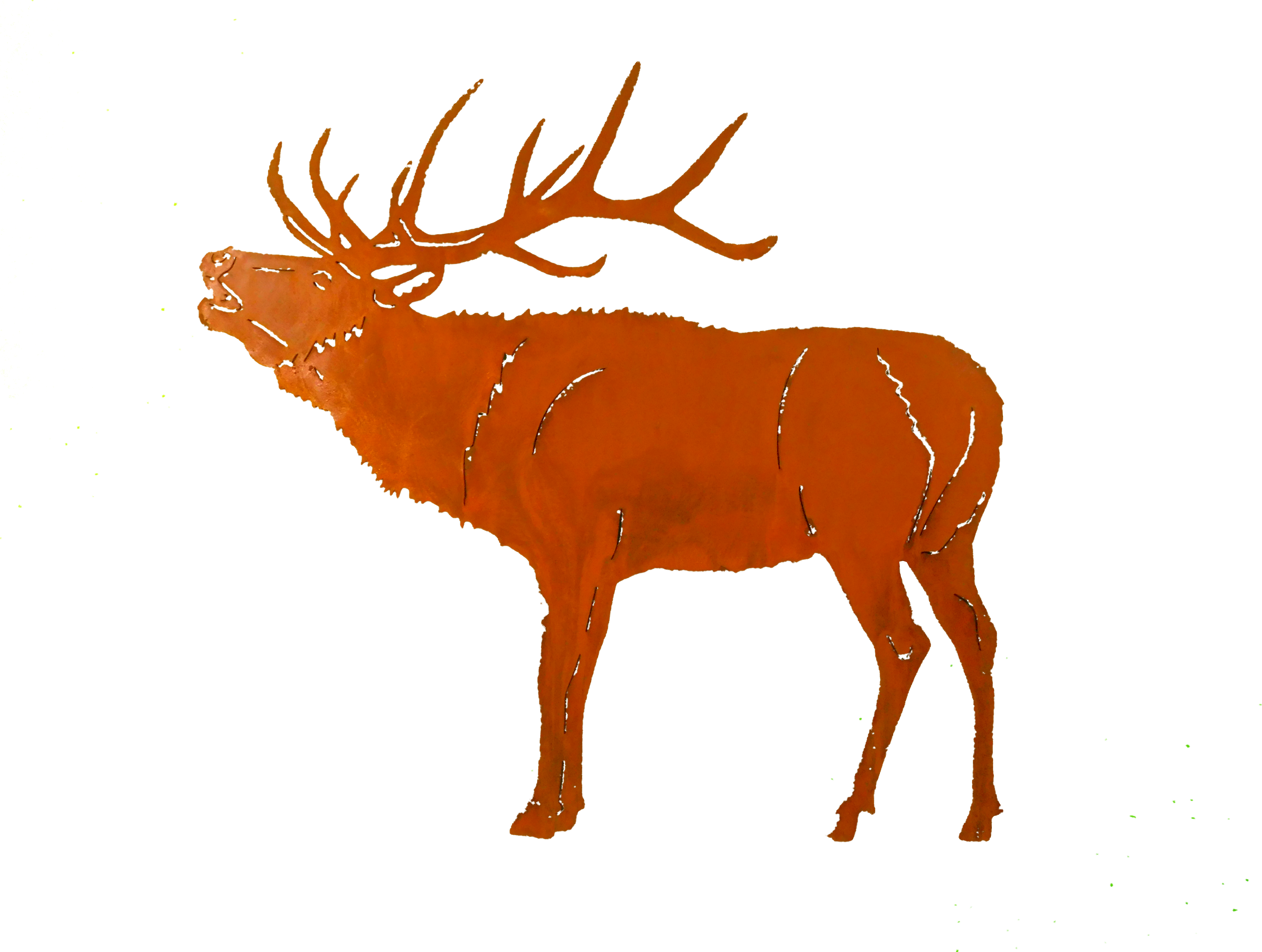 Elk-small Larger Image - Reindeer (4608x3456)