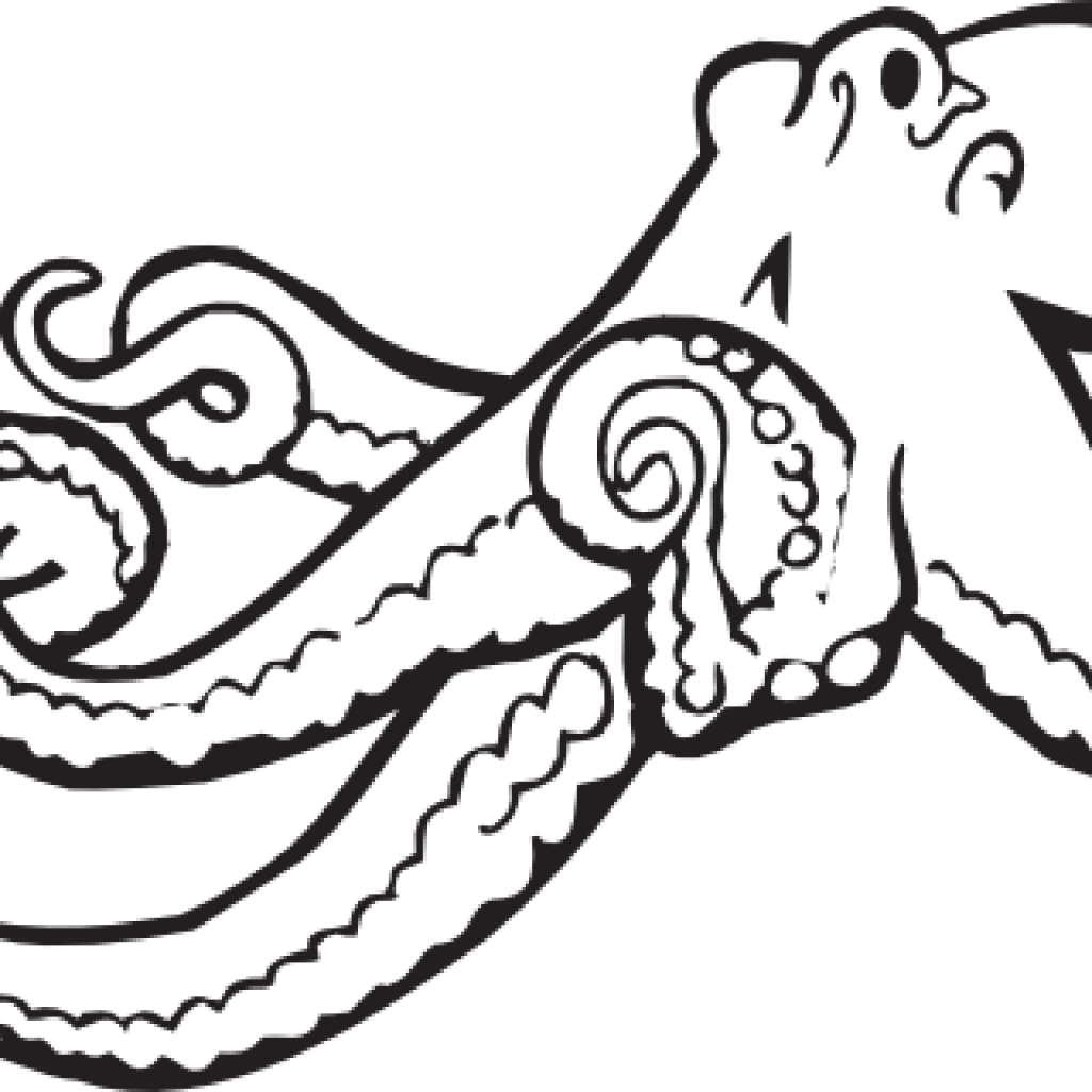 Octopus Clipart Black And White Coloring Book Octopus - Octopus Coloring Page (1024x1024)