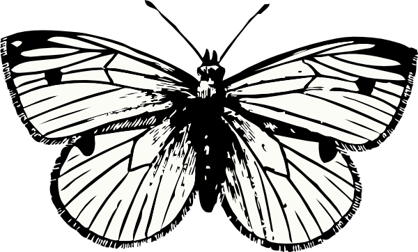Butterfly Tattoo Png (600x362)