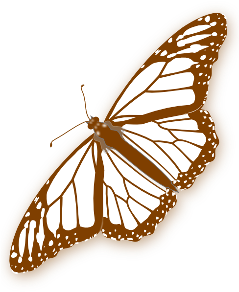 Butterfly Clip Art (510x598)
