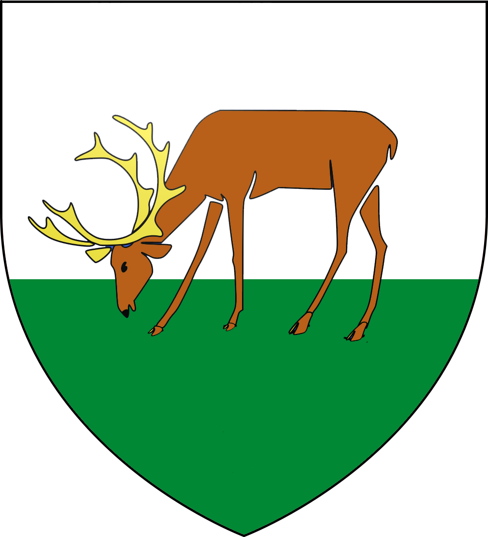 O Lionain Coat Of Arms (1000x1100)