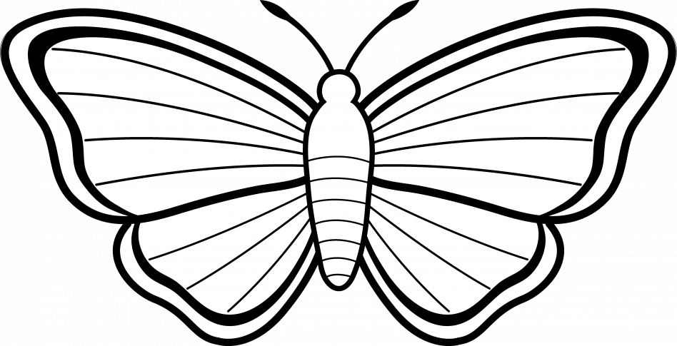 Outline Of A Butterfly Clip Art Outline Coloring Page - Butterfly Drawing For Kids (948x485)