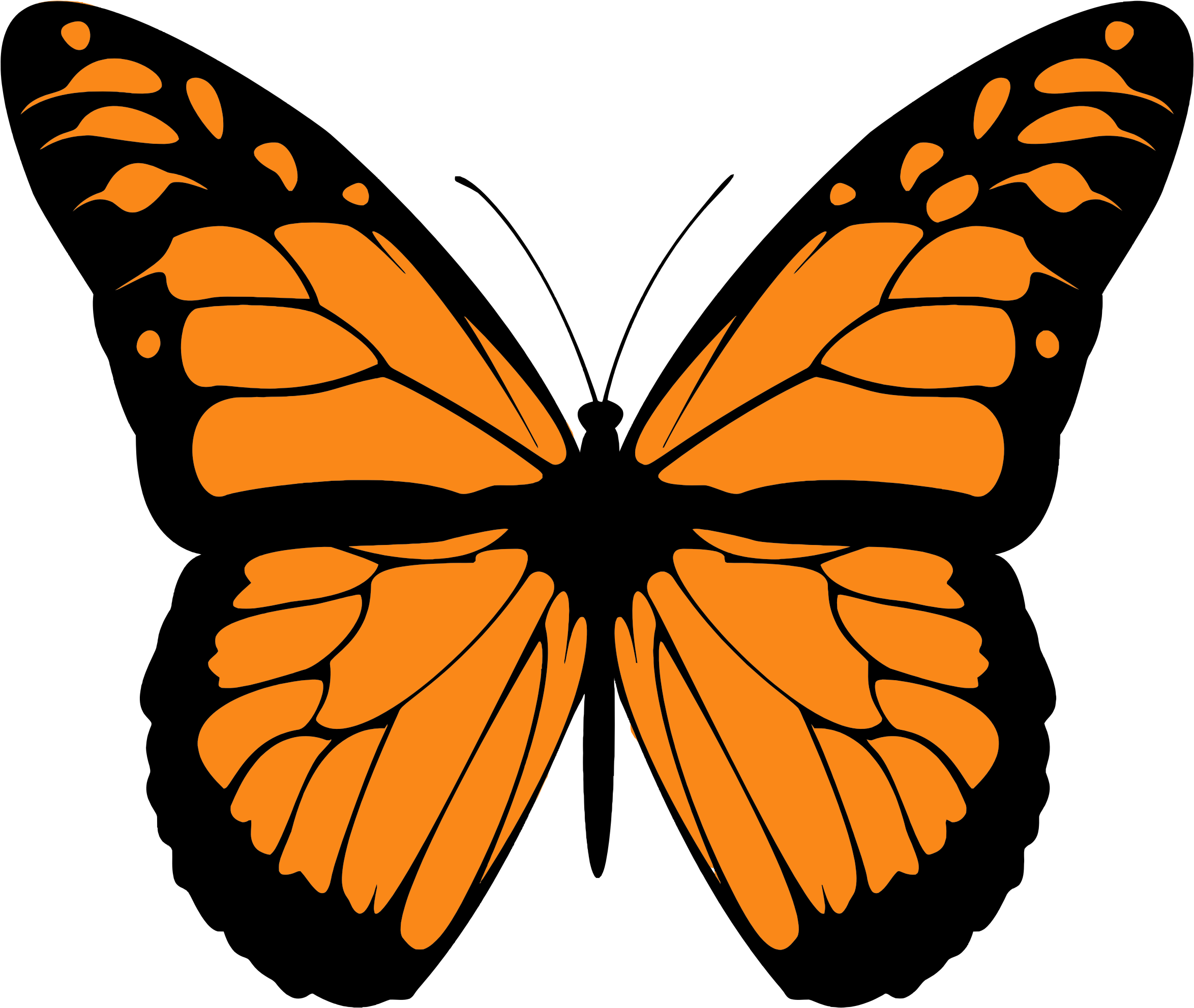 Butterflies Monarch Ies Clipart Https Tango Hamburg - Draw A Monarch Butterfly (2348x1983)