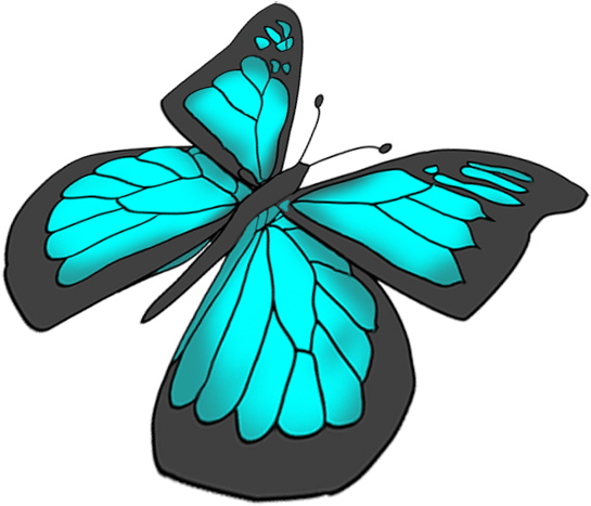 Black Swallowtail Flying - Butterfly Drawing Png (588x532)