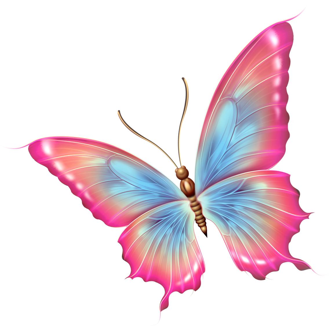 Patterns - Butterfly Clipart - (1166x1138) Png Clipart Download. 