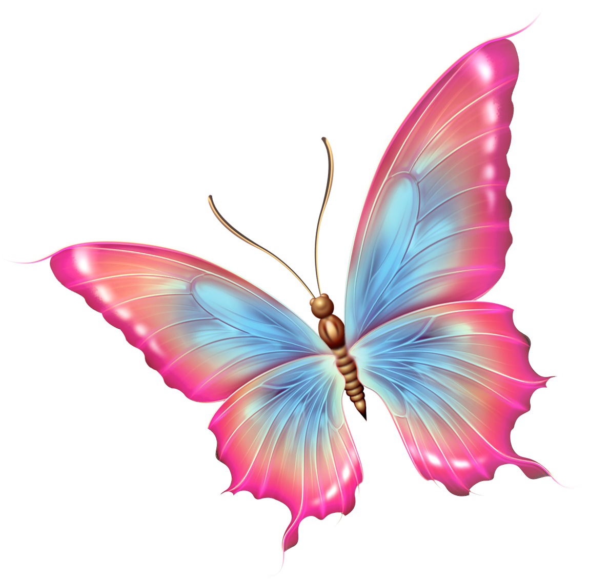 Patterns - Butterfly Clipart (1166x1138)
