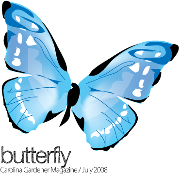Swallowtail Butterfly (456x400)