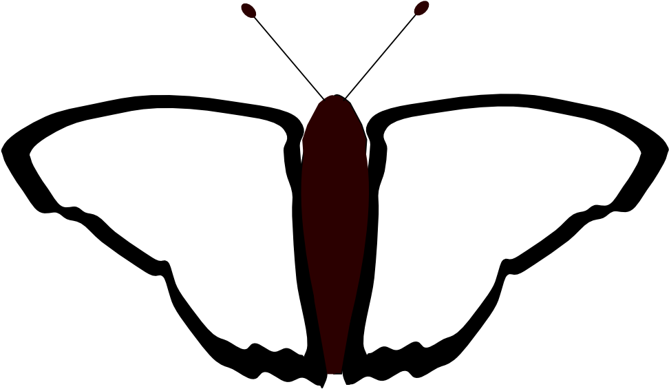 Butterfly 39 Black White Line Art Coloring Book Colouring - Coloring Book (999x599)