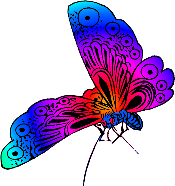 Beautiful Butterfly Image - Beautiful Butterfly Clipart (640x650)