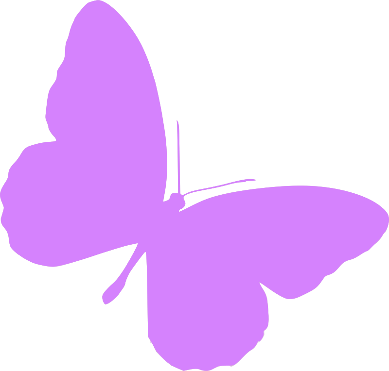 Lavender Butterfly Clip Art - Clip Art (800x764)