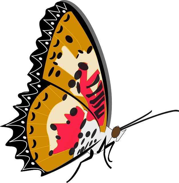 Butterfly, Insect, Animal - Mother And Baby Butterfly Shower Curtain (626x640)