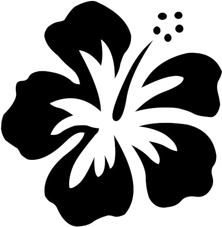 Hawaii-flower - Hawaii Flower (787x717)