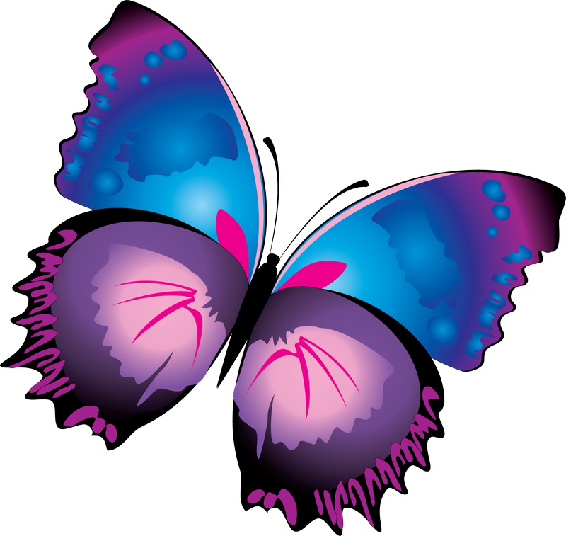 Butterfly Purple Clip Art - Butterfly Purple Clip Art (800x757)