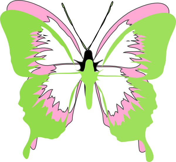 Pink And Green Butterfly (600x552)