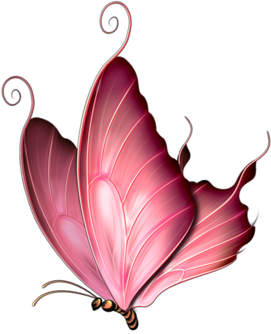 Butterfly 10 - Pink Butterfly Png (427x500)