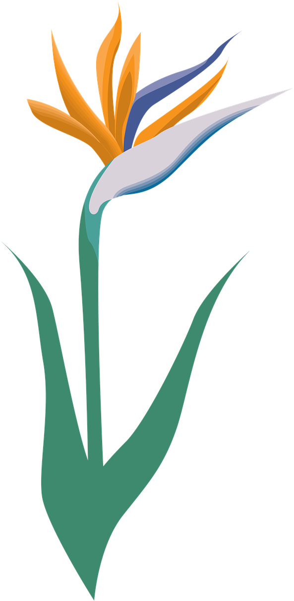 Garden, Flower, Icon, Symbol, Blossom, Logo - Thank You Wedding Party Card (624x1280)