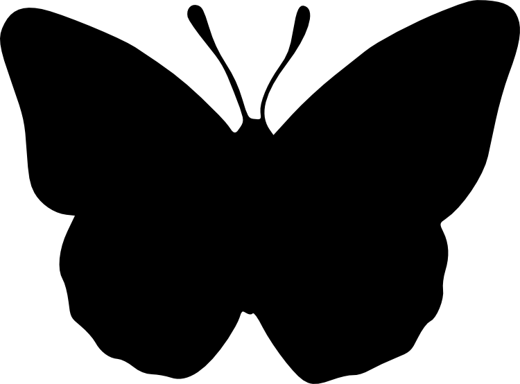 Free Download - Motyle Na Ściane Szablon (750x554)