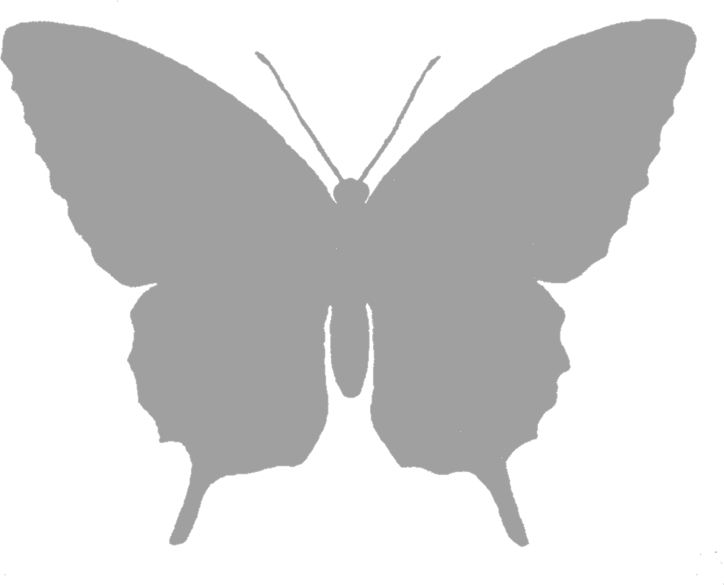Butterfly Silhouette Black And White Clip Art - Butterfly Silhouette Black And White Clip Art (1600x1274)