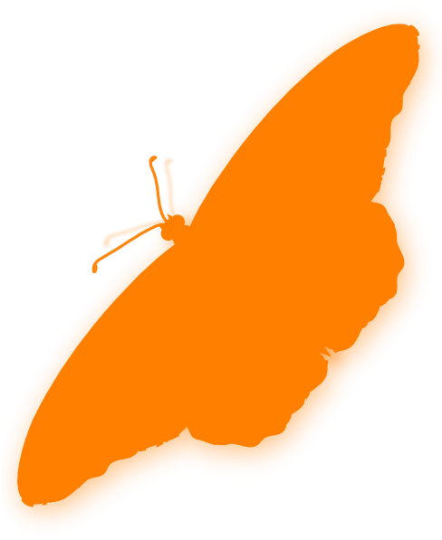 Butterfly Silhouette Orange (510x598)