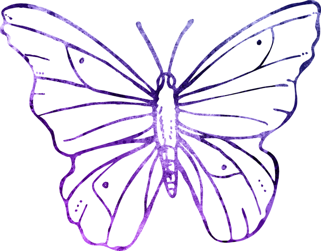 Butterfly - Transparent Background Butterfly Flower Line Art (1021x800)