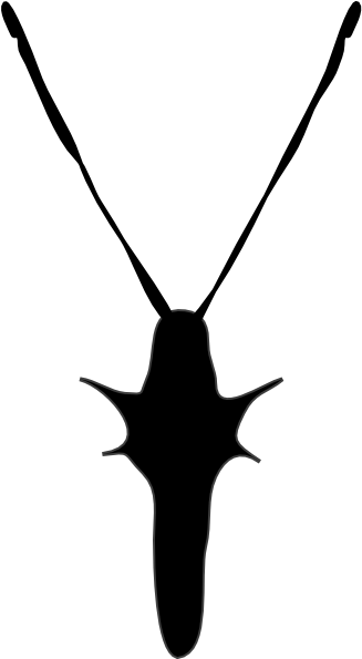 Butterfly Body Clip Art At Clker Com Vector Online - Silhouette (444x594)