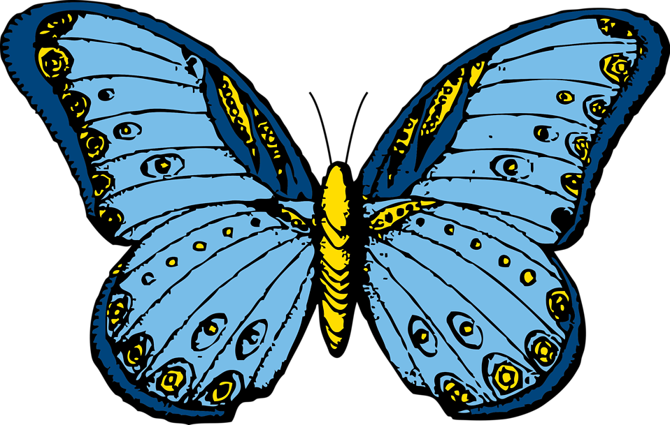 Blue Butterfly Shower Curtain (958x609)