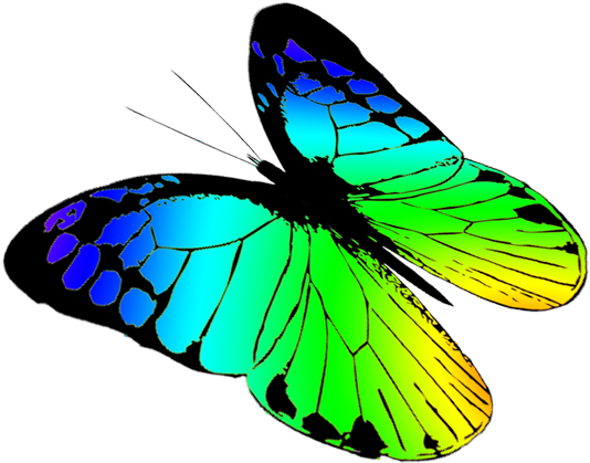 Free Butterflies Drawing, Free Butterfly Clipart - Butterflies Flying Drawing (591x591)