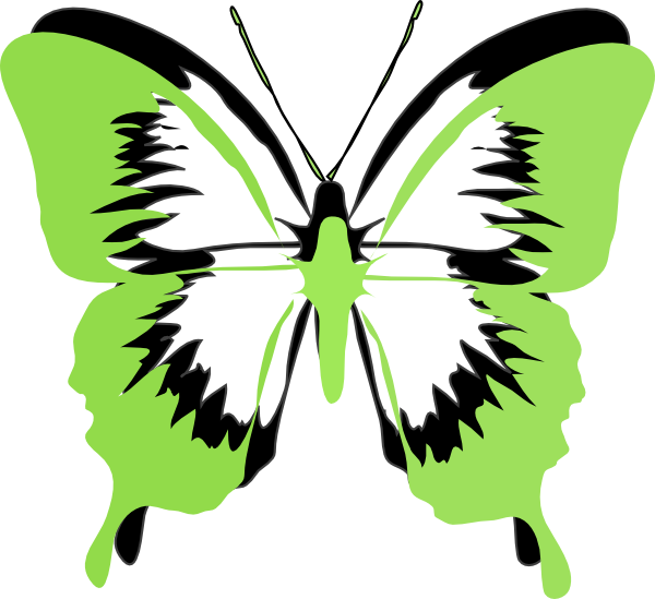 Green Butterfly Clip Art - Butterfly Clip Art (600x549)
