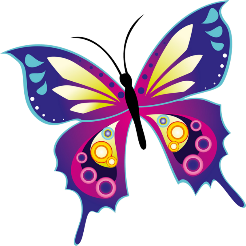 ‿✿⁀butterflies‿✿⁀ - Painting (800x799)