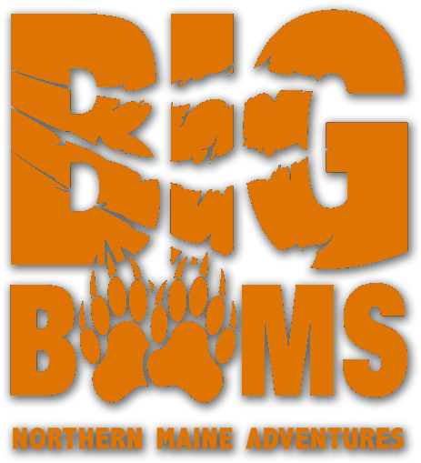 Aroostook County, Maine (512x512)