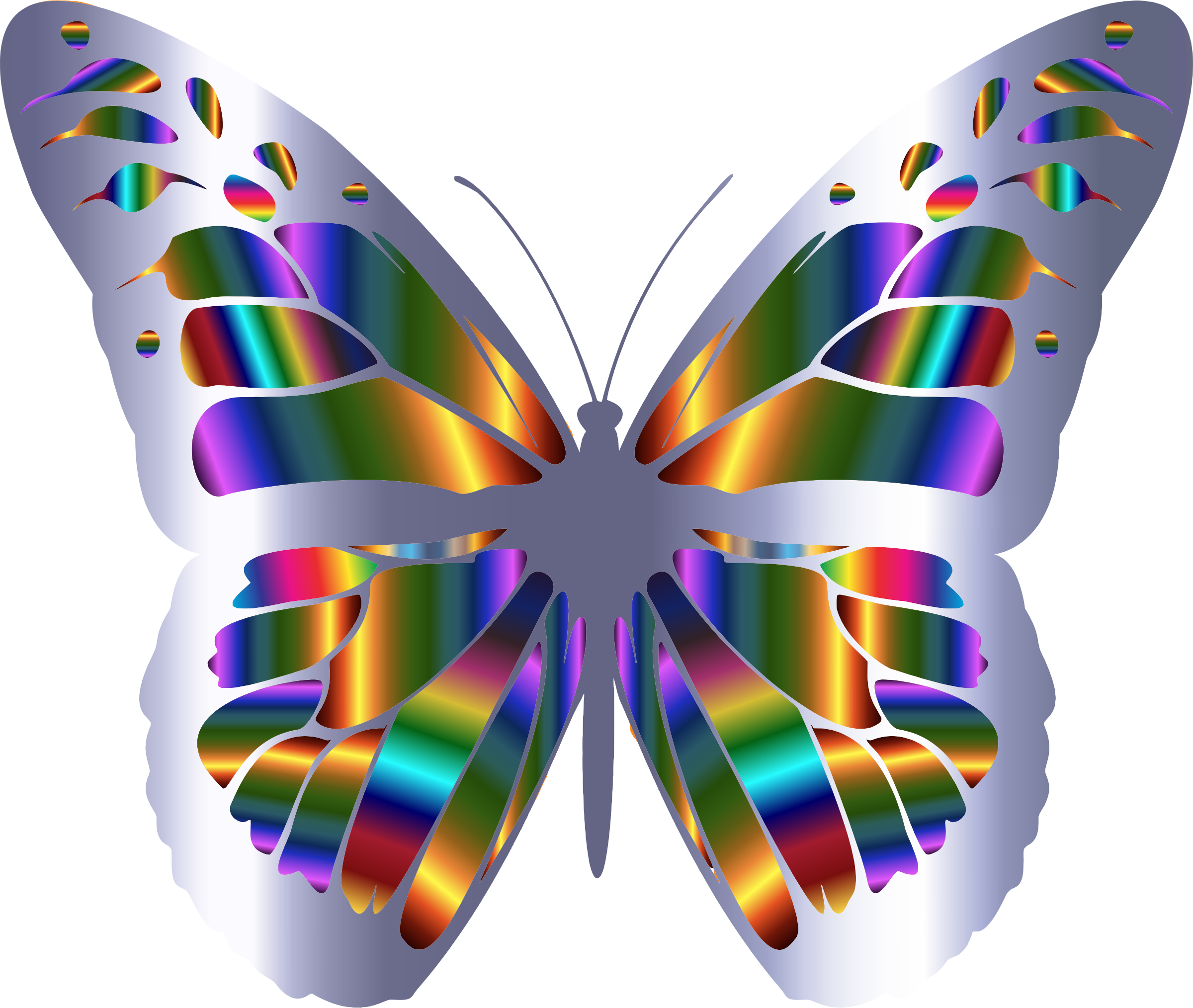 Monarch Butterfly Borders And Frames Clip Art - Butterfly (2400x2028)