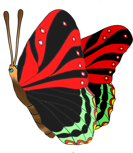 Colorful Butterflies Clipart - Butterfly (503x531)