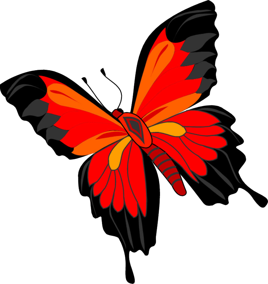 Butterfly Png Image - Butterfly Png (933x988)