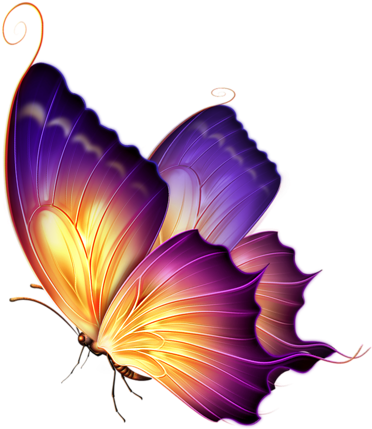 Butterfly 17 - Purple And Yellow Butterfly (443x500)
