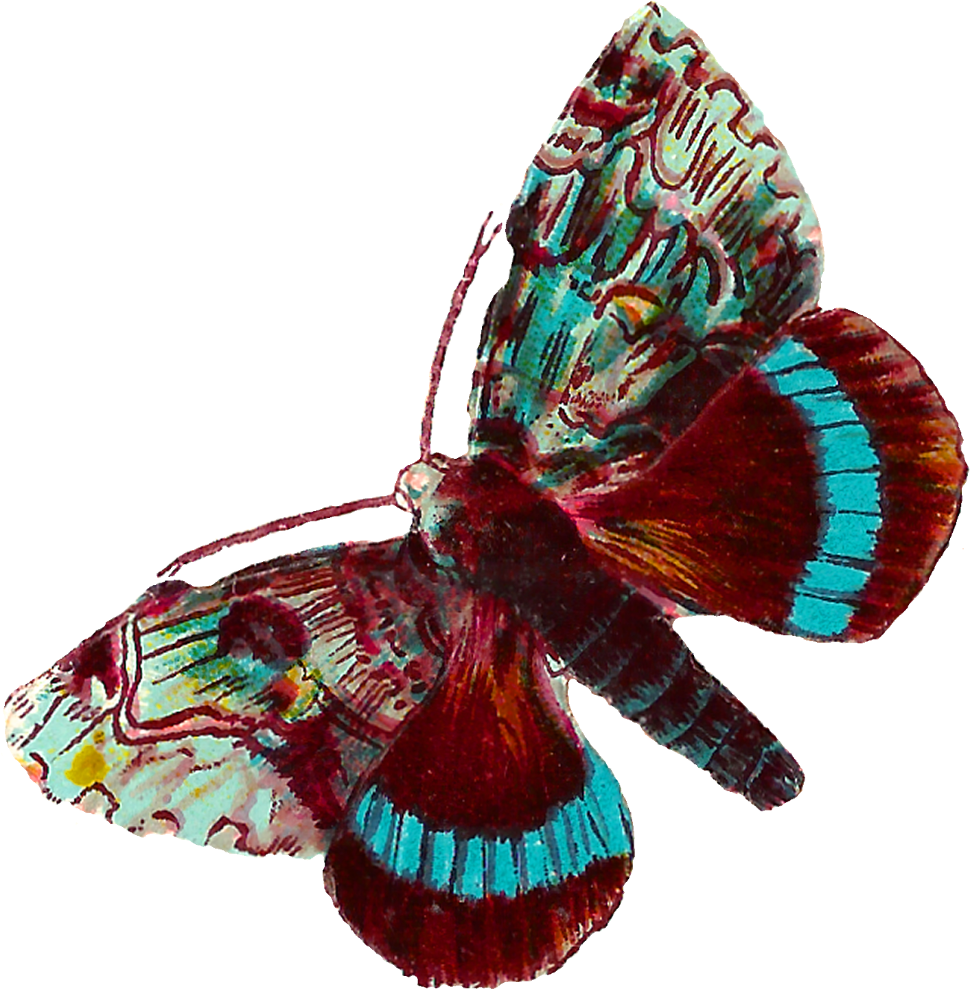 Digital Butterfly Moth Clip Art Downloads - Butterflies And Moths (1517x1600)