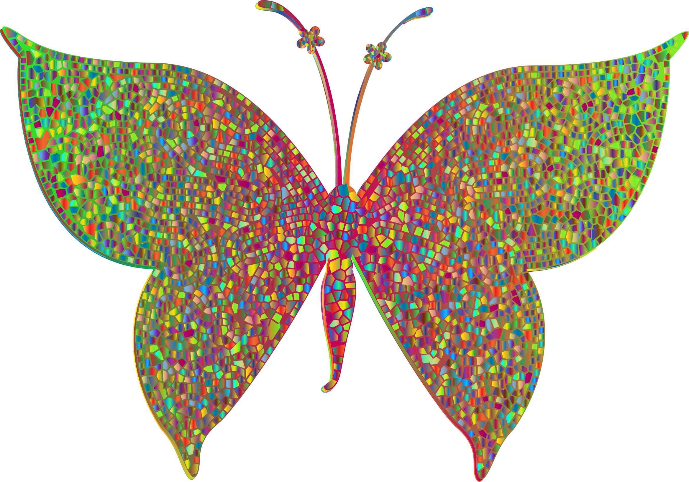 Big Image - Colorfull Butterflies Clipart Hd (2336x1634)