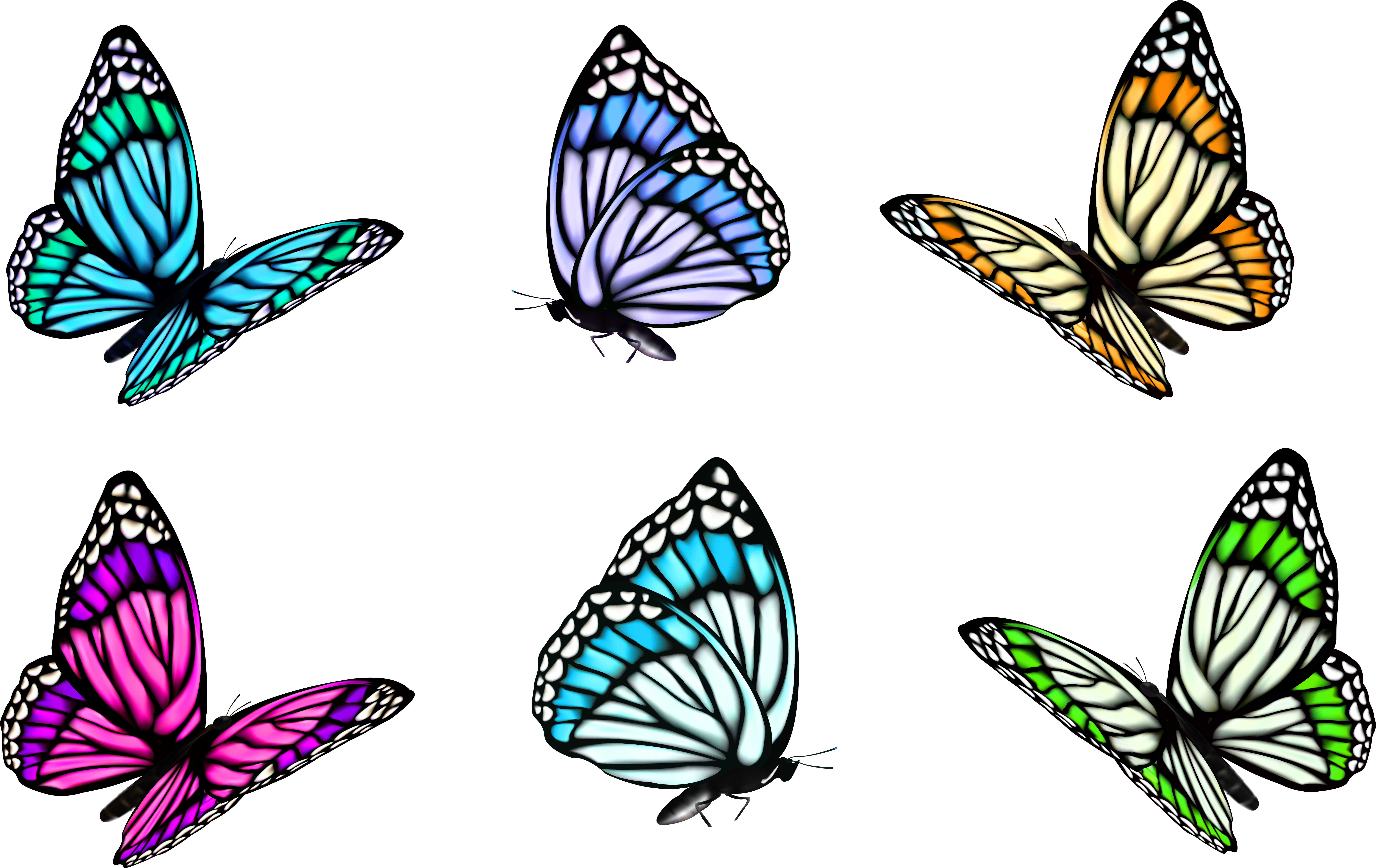 Full-color Decorative Butterfly Illustrations Clip - Set Of Butterflies Clipart (8165x5229)