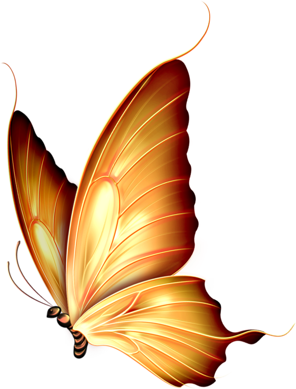 Butterflies - Butterfly Png (626x800)