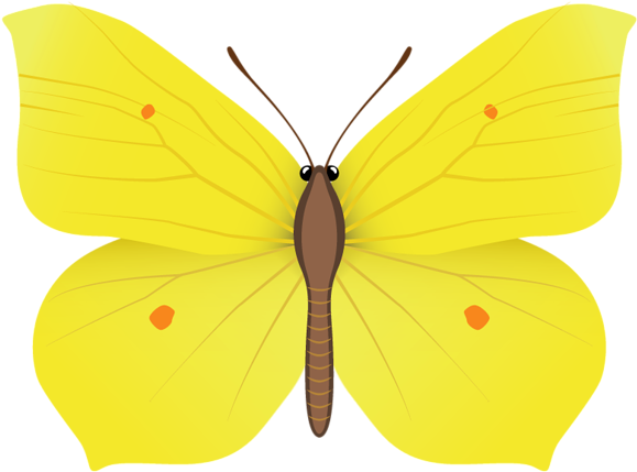 Yellow Butterfly Png Clipart Image - Yellow Butterfly Clipart Png (600x458)
