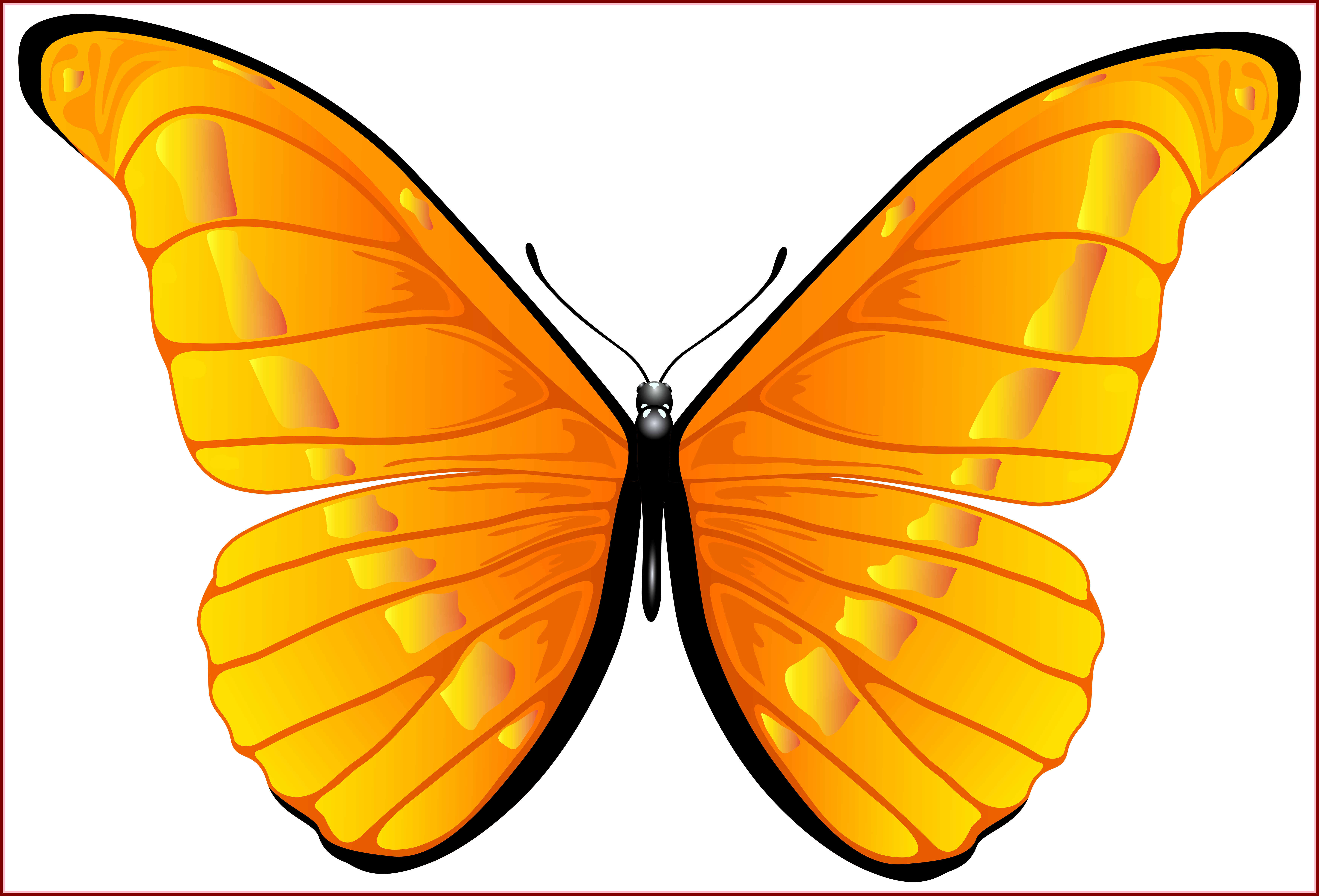 0, - Orange Butterfly Clip Art (1024x693)