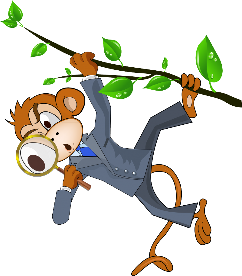 Cartoon Monkey For One Project - Conservation (800x914)